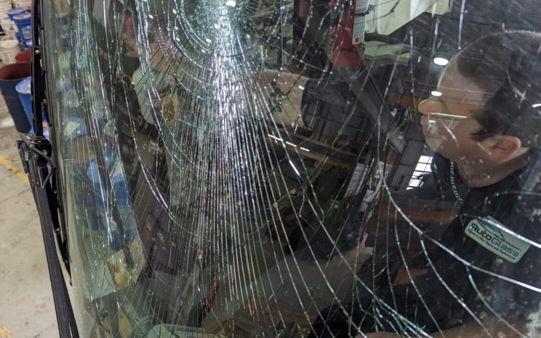 Wellington Auto Glass: Experts in Specialty Glass Replacement